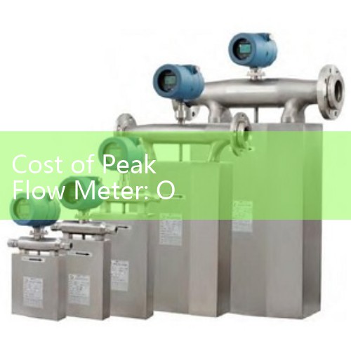 Cost of Peak Flow Meter: Over-the-Counter Home Respiratory Wellness Budgets